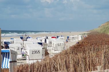 Appartement de vacances /en/au Wenningstedt (Nordfriesische Inseln)ou appartement ou maison de vacances