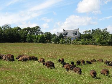 Maison de vacances �/en/au Riec sur Belon (Finist�re)ou appartement ou maison de vacances