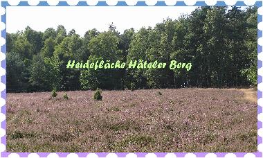 Maison de vacances /en/au Wietzendorf (Lneburger Heide)ou appartement ou maison de vacances