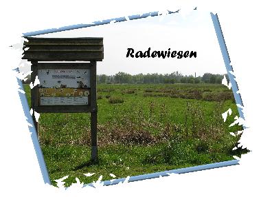 Maison de vacances /en/au Wietzendorf (Lneburger Heide)ou appartement ou maison de vacances