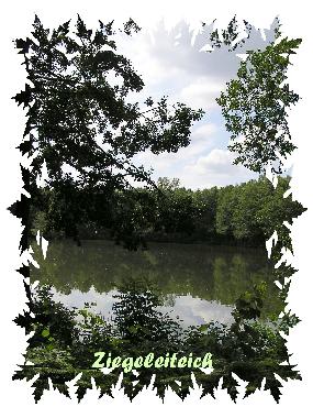 Maison de vacances /en/au Wietzendorf (Lneburger Heide)ou appartement ou maison de vacances