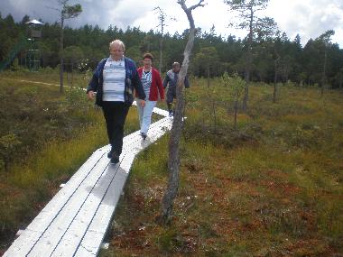 Maison de vacances �/en/au P�rnu (Parnumaa)ou appartement ou maison de vacances