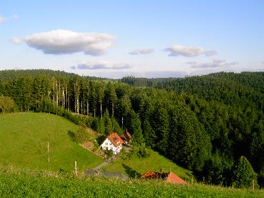 Appartement de vacances �/en/au St. M�rgen (Schwarzwald)ou appartement ou maison de vacances