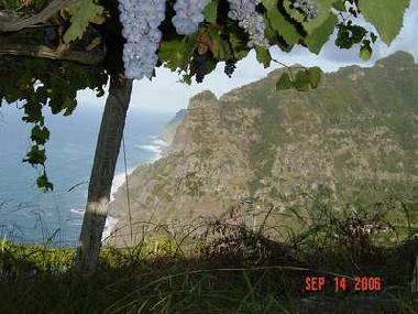 Maison de vacances �/en/au Boaventura (Madeira)ou appartement ou maison de vacances
