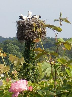 Maison de vacances /en/au Althttendorf (Barnim)ou appartement ou maison de vacances