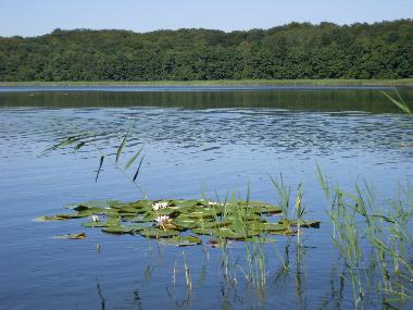 Maison de vacances /en/au Althttendorf (Barnim)ou appartement ou maison de vacances