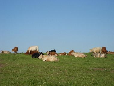 Maison de vacances /en/au Althttendorf (Barnim)ou appartement ou maison de vacances
