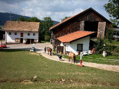 Appartement de vacances /en/au Arrach (Oberpfalz)ou appartement ou maison de vacances