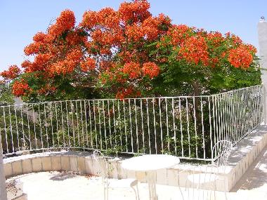 Maison de vacances �/en/au Kfar Adumim (Yerushalayim (Jerusalem))ou appartement ou maison de vacances