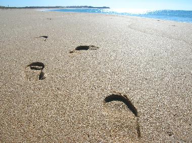 Appartement de vacances �/en/au Baleal (Oeste)ou appartement ou maison de vacances