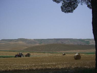 Maison de vacances /en/au Irsina (Matera)ou appartement ou maison de vacances