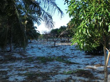 Appartement de vacances �/en/au Fortaleza (Ceara)ou appartement ou maison de vacances