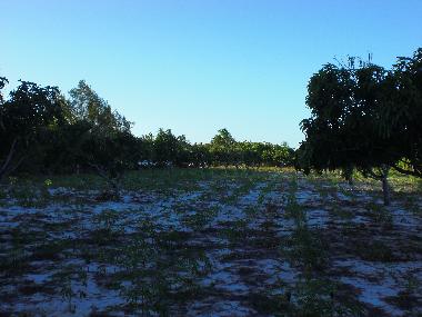 Appartement de vacances �/en/au Fortaleza (Ceara)ou appartement ou maison de vacances