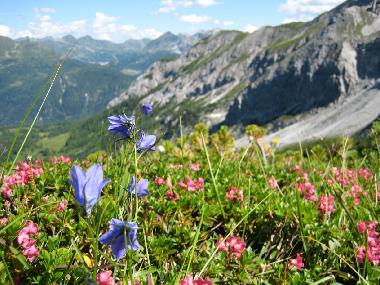 Appartement de vacances /en/au Zauchensee (Pinzgau-Pongau)ou appartement ou maison de vacances