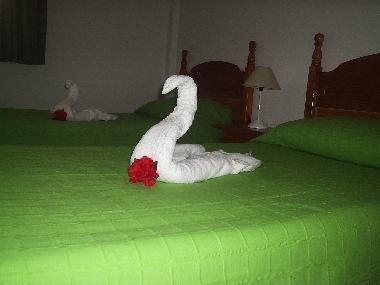 Appartement de vacances �/en/au MORRO JABLE (Fuerteventura)ou appartement ou maison de vacances