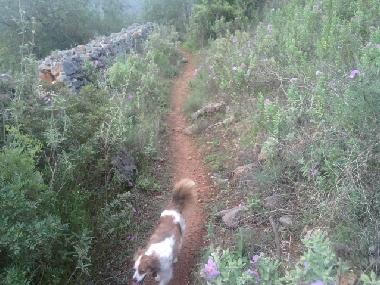 Maison de vacances /en/au espargal (Algarve)ou appartement ou maison de vacances