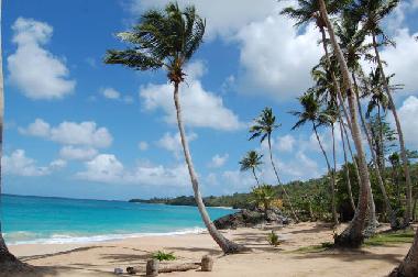 Maison de vacances �/en/au Las Galeras - Samana (Samana)ou appartement ou maison de vacances