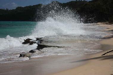 Maison de vacances �/en/au Las Galeras - Samana (Samana)ou appartement ou maison de vacances