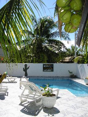 La piscine de la Villa Cactus