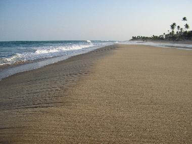 La plage en face de la Villa Cactus