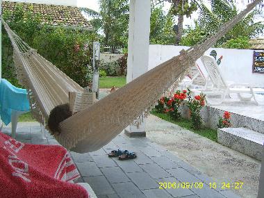 La terrasse de la Villa Cactus