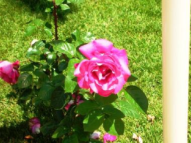 Maison de vacances /en/au Pisano (Catania)ou appartement ou maison de vacances