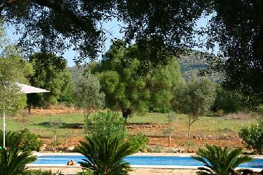 Maison de vacances �/en/au Arta (Mallorca)ou appartement ou maison de vacances