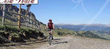 Appartement de vacances �/en/au St.Ulrich (Bolzano-Bozen)ou appartement ou maison de vacances