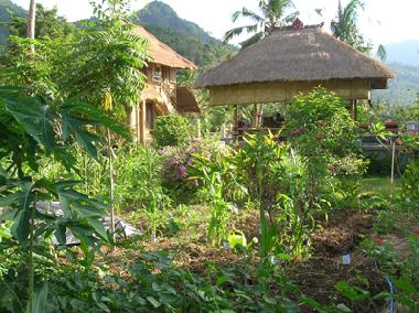 Maison de vacances �/en/au Manuksesa (Bali)ou appartement ou maison de vacances