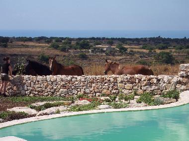 Appartement de vacances /en/au Modica (Ragusa)ou appartement ou maison de vacances
