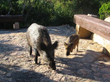 Maison de vacances /en/au Trinit d