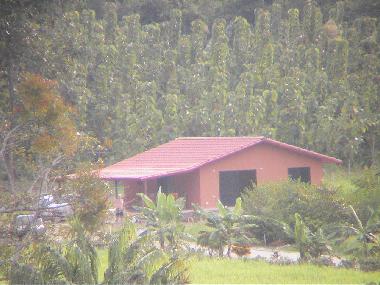 Appartement de vacances �/en/au cabo blanco (Puntarenas)ou appartement ou maison de vacances