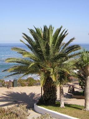 Appartement de vacances /en/au Puerto de la Cruz (Teneriffa)ou appartement ou maison de vacances