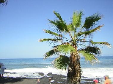 Appartement de vacances /en/au Puerto de la Cruz (Teneriffa)ou appartement ou maison de vacances