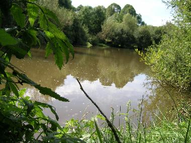 Maison de vacances �/en/au SAIN BONNET DE SALERS (Cantal)ou appartement ou maison de vacances