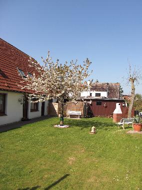 Appartement de vacances /en/au Norddeich (Nordsee-Festland)ou appartement ou maison de vacances