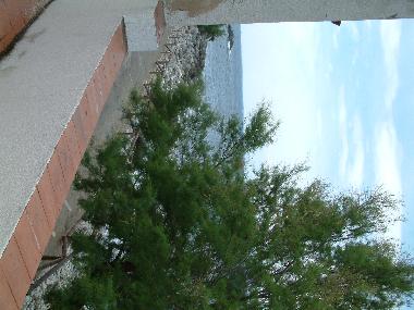 Maison de vacances �/en/au Pomonte (Livorno)ou appartement ou maison de vacances