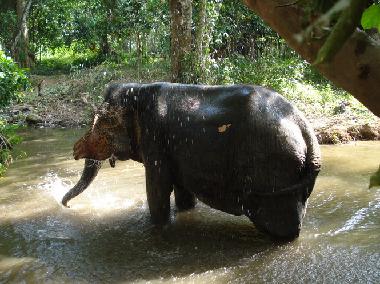 Chambre avec petit d�jeuner �/en/au Ao Nang (Krabi)ou appartement ou maison de vacances