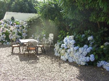 Maison de vacances /en/au Plouhinec (Finistre)ou appartement ou maison de vacances