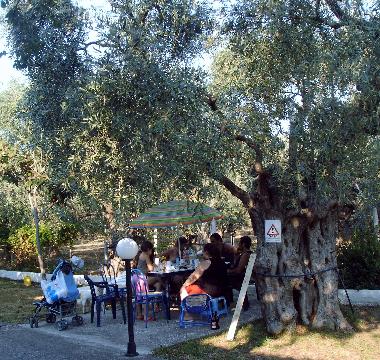 Chambre avec petit d�jeuner �/en/au Skala Rachoni (Kavala)ou appartement ou maison de vacances