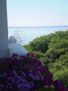 Appartement de vacances /en/au Benalmadena Costa (Mlaga)ou appartement ou maison de vacances