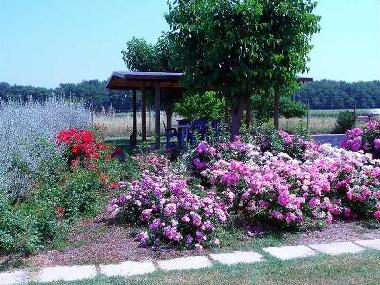 Maison de vacances /en/au Torgiano (Perugia)ou appartement ou maison de vacances