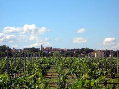 Maison de vacances /en/au Torgiano (Perugia)ou appartement ou maison de vacances