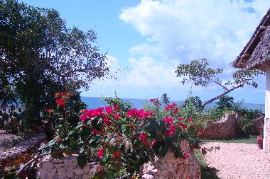 Maison de vacances �/en/au Msambweni (Coast)ou appartement ou maison de vacances