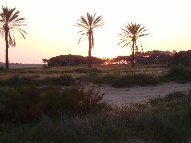 Chalet �/en/au Torrevieja (Alicante / Alacant)ou appartement ou maison de vacances