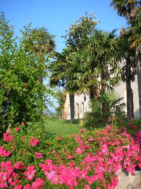 Appartement de vacances �/en/au torre fucecchio (Firenze)ou appartement ou maison de vacances