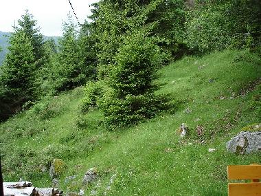 Maison de vacances /en/au Schluchsee (Schwarzwald)ou appartement ou maison de vacances