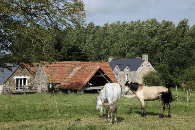 Appartement de vacances /en/au Benoistville (Manche)ou appartement ou maison de vacances