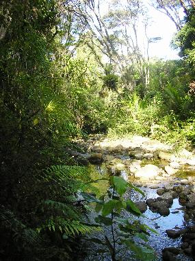 Maison de vacances �/en/au Kennedy Bay (Thames-Coromandel)ou appartement ou maison de vacances