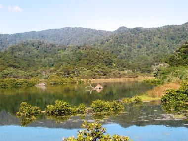 Maison de vacances �/en/au Kennedy Bay (Thames-Coromandel)ou appartement ou maison de vacances